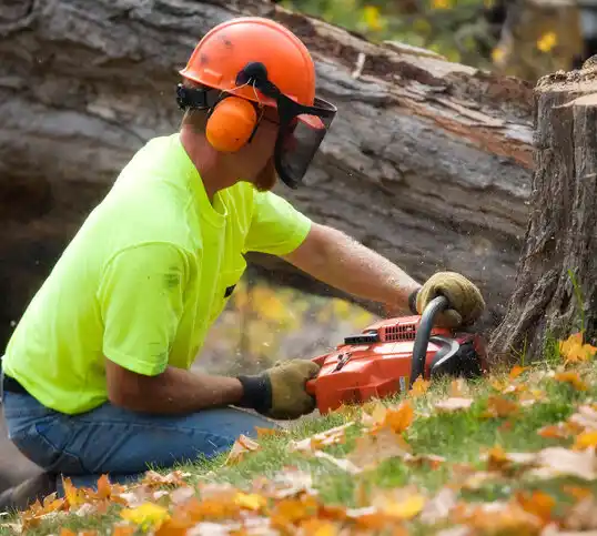 tree services Belle Chasse